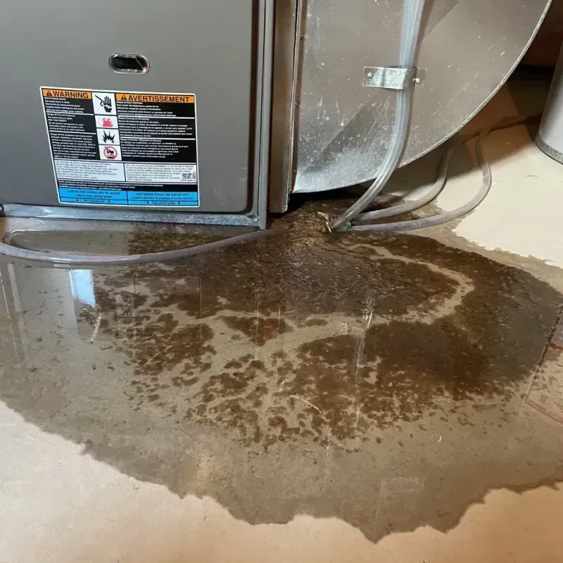 Appliance Leak Cleanup in Donaldsonville, LA